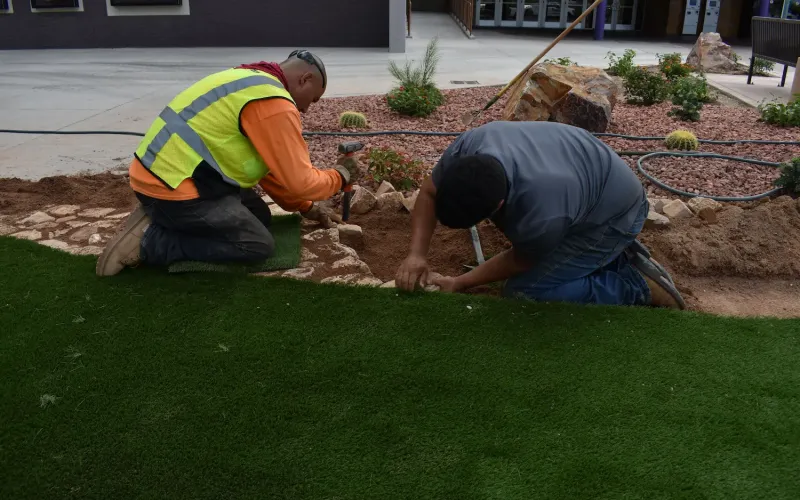 Commercial Landscape Maintenance in Tucson, Arizona
